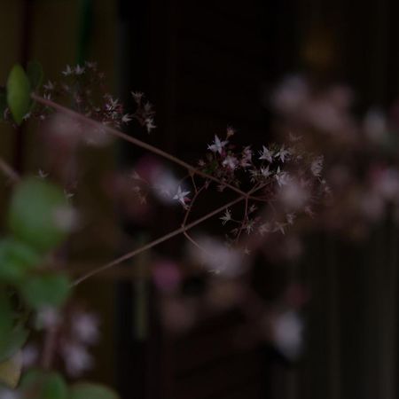B&B Annalu' Guspini Exteriér fotografie
